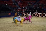 Quadrille - 00552